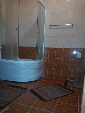 Фото номера Апартаменты - 1-й этаж Апартаменты Apartments Domovik Beljaeva г. Мукачево 11