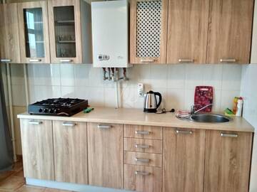 Фото номера Апартаменты с 1 спальней Апартаменты Apartments Domovik Parkaniya, 2A г. Мукачево 7