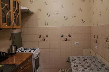 Фото номера Апартаменты с 1 спальней Апартаменты Apartment on Pushkina 16 г. Мукачево 10