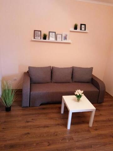 Фото номера Апартаменты с 1 спальней Апартаменты Lux two room Apartments on Belayeva 5 г. Мукачево 55