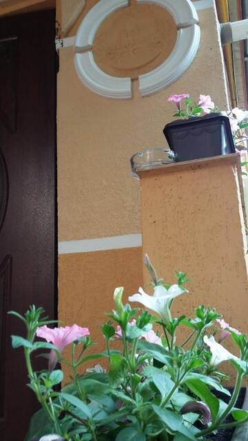 Фото номера Апартаменты с 1 спальней Апартаменты NEW!!! Apartment in the Center on Pirogova г. Мукачево 41