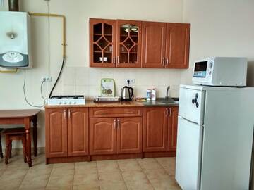 Фото номера Апартаменты Апартаменты Apartments "Domovik" Parkaniya,2A/21 г. Мукачево 23