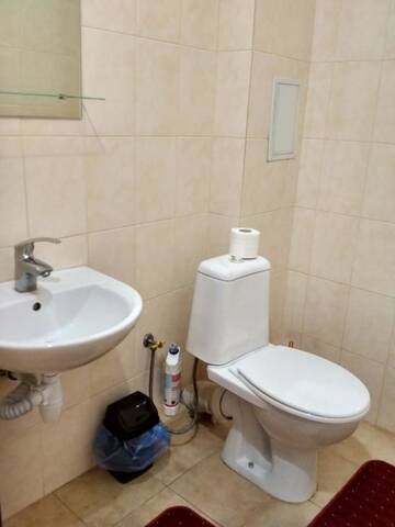Фото номера Апартаменты Апартаменты Apartments "Domovik" Parkaniya,2A/21 г. Мукачево 10